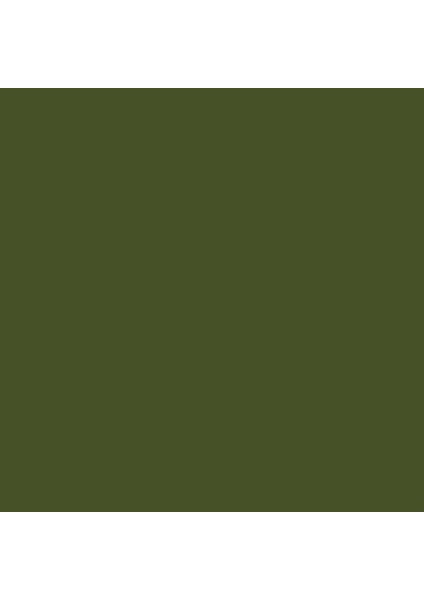 Professional Akrilik Sprey Boya 400 ml Sap Green Permanent 315 S1