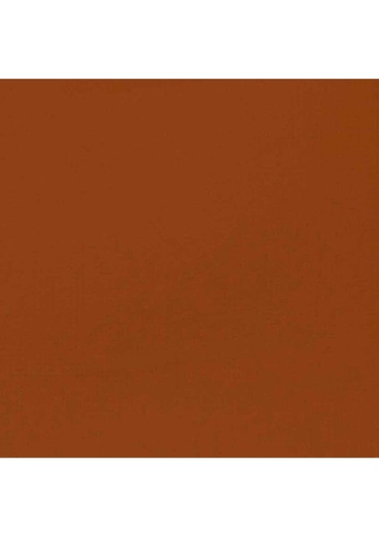 Professional Akrilik Guaj Boya 59 ml Raw Sienna 330 S1