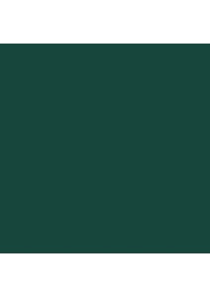 Professional Akrilik Sprey Boya 400 ml Viridian Hue Permanent 398 S1