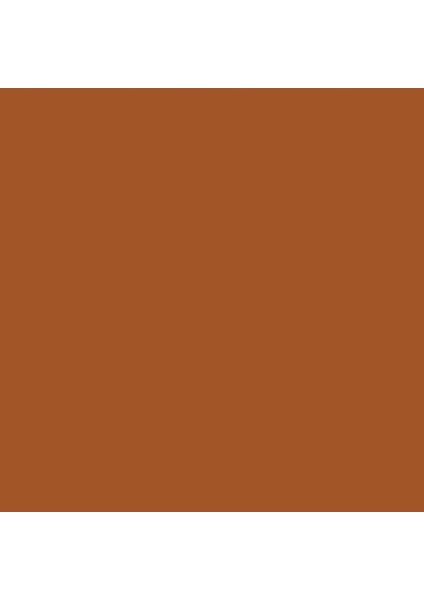 Professional Akrilik Sprey Boya 400 ml Raw Sienna 330 S1