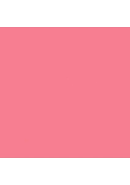 Professional Akrilik Sprey Boya 400 ml Cadmium Red Medium Hue 6