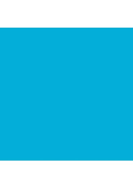 Professional Akrilik Sprey Boya 400 ml Fluorescent Blue 984 S2 fiyatları