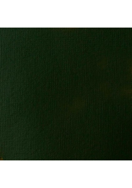 Professional Heavy Body Akrilik Boya 59 ml Hooker’s Green Deep Hue Permanent 225 S1