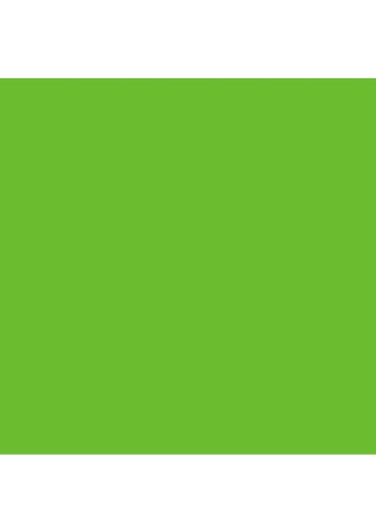 Professional Akrilik Sprey Boya 400 ml Vivid Lime Green 740