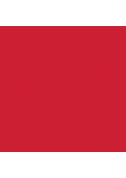 Professional Akrilik Sprey Boya 400 ml Cadmium Red Medium Hue 151