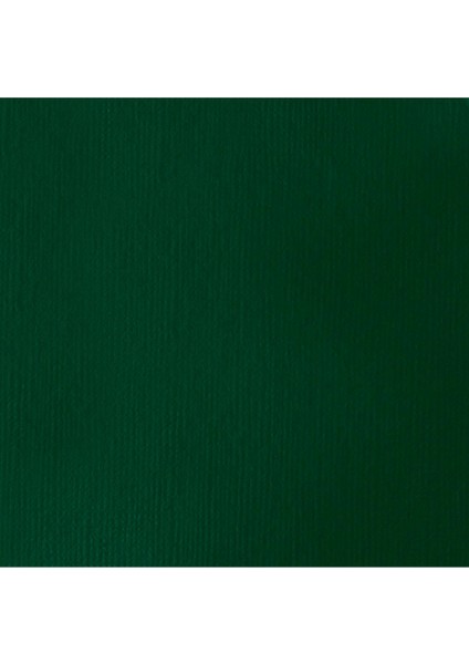 Professional Heavy Body Akrilik Boya 59 ml Viridian Hue Permanent 398 S1