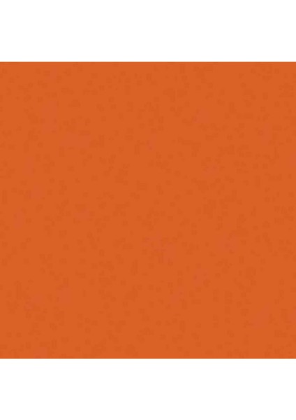 Professional Akrilik Sprey Boya 400 ml Cadmium Orange Hue 2