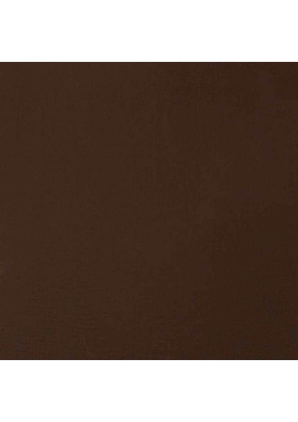 Professional Akrilik Guaj Boya 59 ml Raw Umber 331 S1 fiyatları