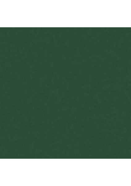 Professional Akrilik Sprey Boya 400 ml Hooker's Green Hue Permanent 224 S1