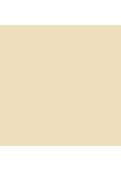 Professional Akrilik Sprey Boya 400 ml Unbleached Titanium 434 S1