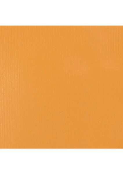 Professional Heavy Body Akrilik Boya 59 ml Naples Yellow Hue 601 S2 fiyatları