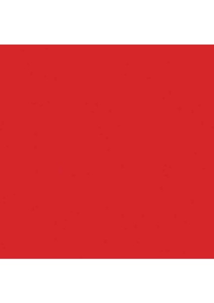 Professional Akrilik Sprey Boya 400 ml Cadmium Red Light Hue