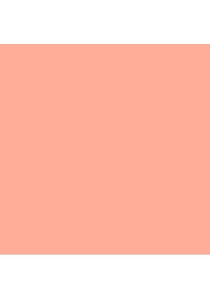 Professional Akrilik Markör Kesik Uç 15 mm Light Pink 810 fiyatları