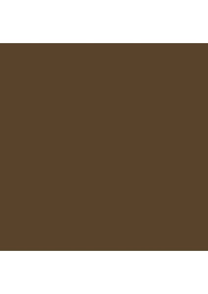 Professional Akrilik Sprey Boya 400 ml Raw Umber 331 S1
