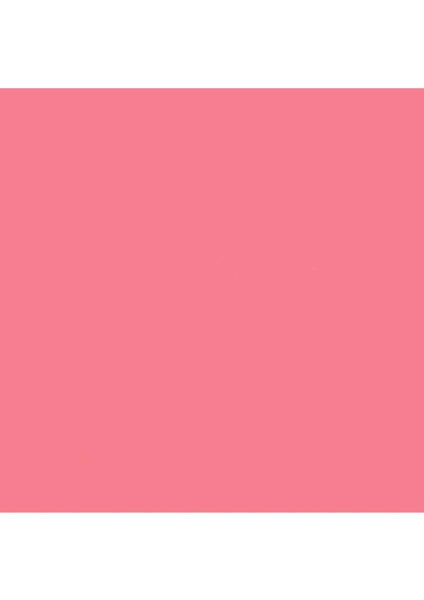 Professional Akrilik Sprey Boya 400 ml Cadmium Red Medium Hue 6