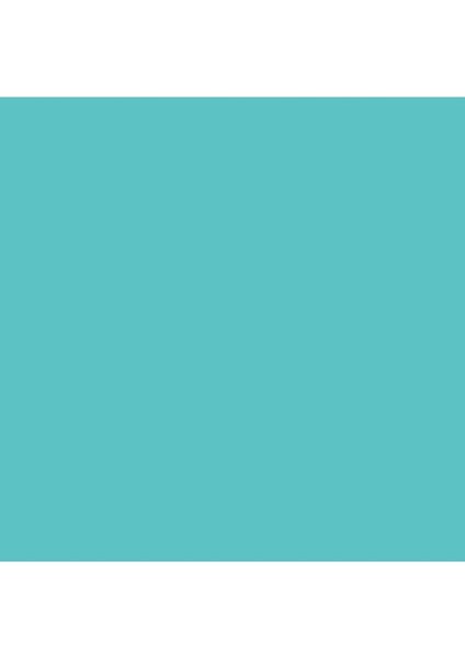 Professional Akrilik Markör Kesik Uç 15 mm Light Blue Permanent 770
