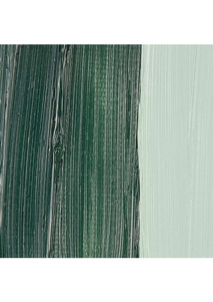 Mussini Yağlı Boya 35 ml Verona Green Earth 640 S.1 fiyatları