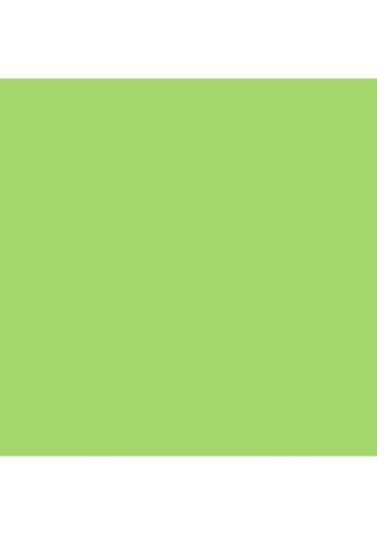 Professional Akrilik Sprey Boya 400 ml Brilliant Yellow Green 840