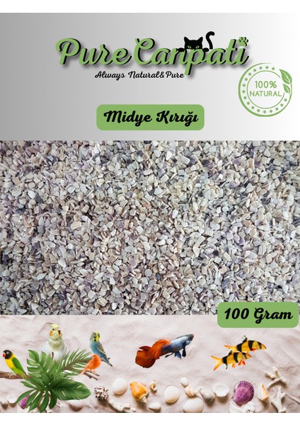 Midye Kırığı 100 gr