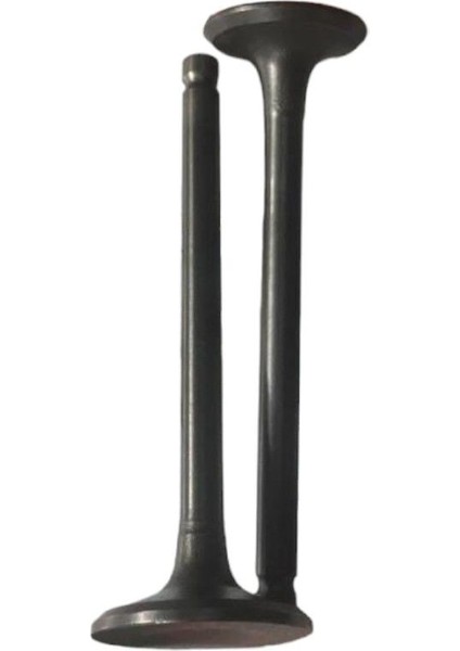 Cygnus L 100 Subap