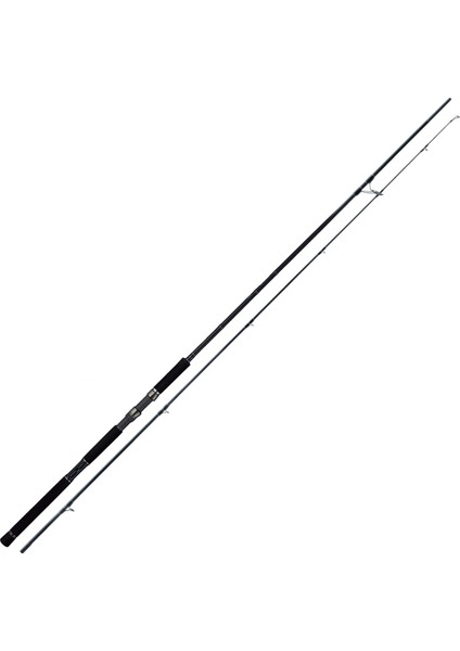 Tailwalk Rize Shooter SSD S100M 3.05MT Max 60GR (2p) Shore Jigging Kamış