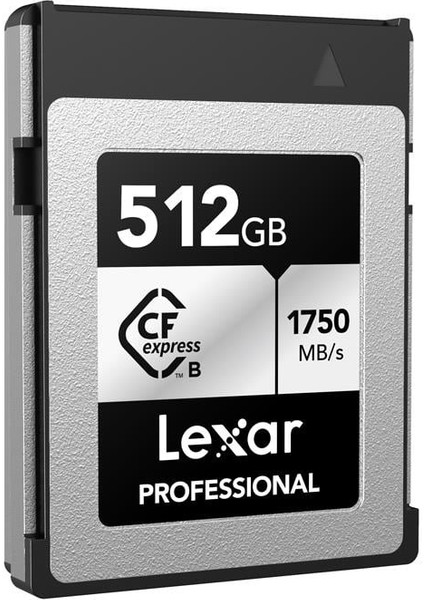 512GB Professional Cfexpress Type B Card Sılver Series, - LCXEXSL512G-RNENG