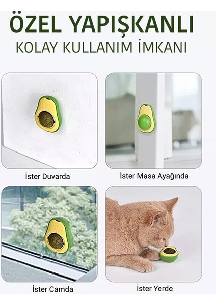 Avakado Kedi Naneli Catnip Yalama Oyun Topu