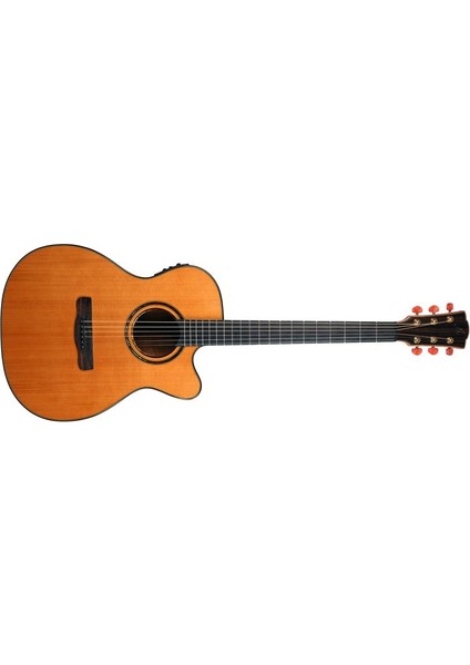 DG-15FOOMCES Diana Serisi Elektro Akustik Gitar fiyatları