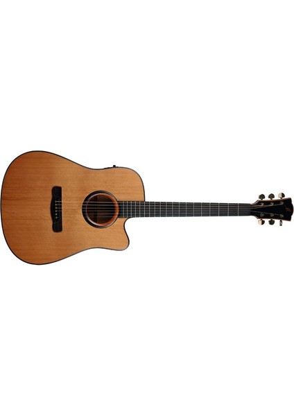 C-18DCES Cardenas Elektro Akustik Gitar