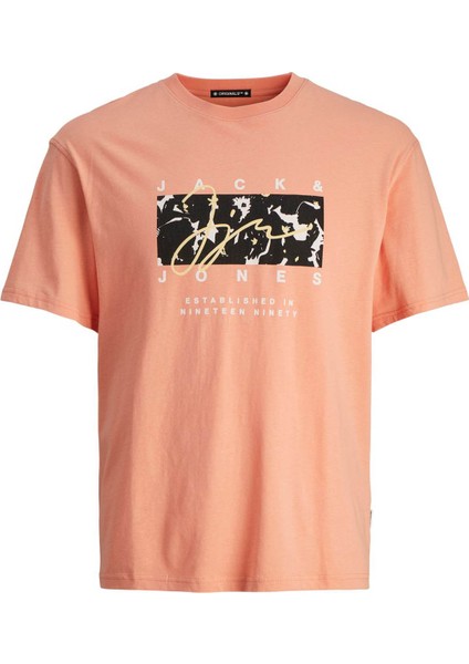 Erkek T-Shirt Somon 12255517 Joraruba Aopbrandıng Tee Ss Crew Neck Ln fiyatları