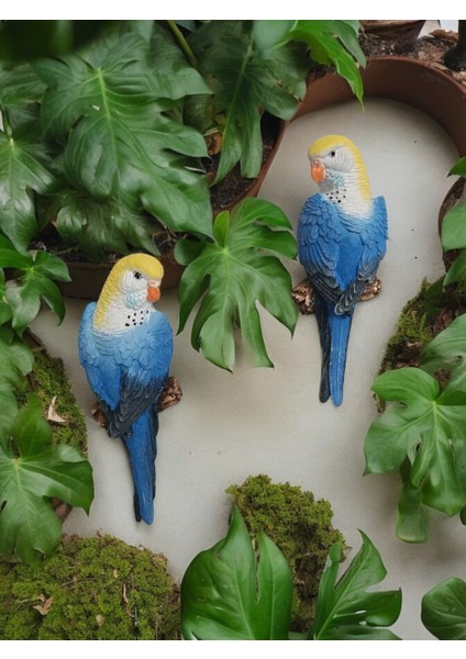 2 Adet El Boyaması Muhabbet Kuşu Duvar Balkon Bahçe Süsü Farklı Renklerde