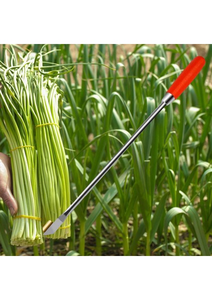 Sarımsak Manuel El Uzatma Mini Ücü (Yurt Dışından) fiyatları