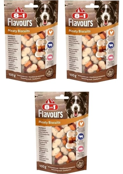 Flavours Meaty Biscuits Köpek Ödülü 100 gr. x 3 Adet