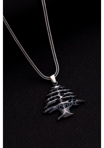 Erkek Gümüş Kolye - Hayat Ağacı Figürlü Gümüş Erkek Kolye fiyatları