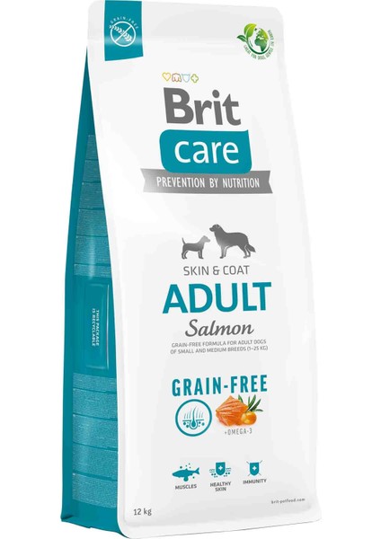 Brit Care Skin & Coat Tüm Irklar Için Somonlu Tahılsız Yetişkin Köpek Maması 12 kg