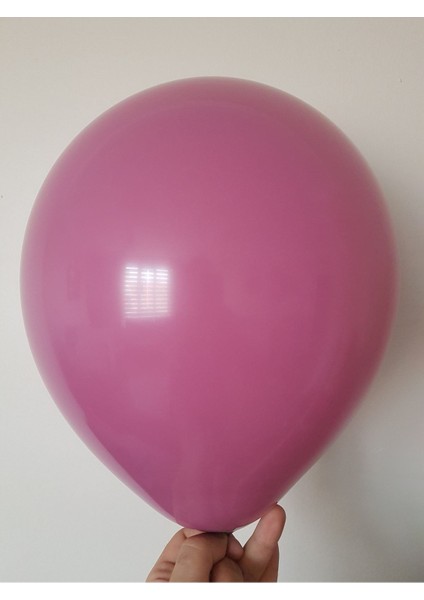 Yaban Çileği 10 Lu Retro Balon Set+Yaban Çileği Retro Balon Doğum Günü Parti Süsleme