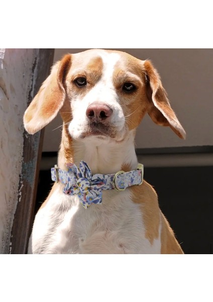‘’ Flower ‘’ 2 Parça Çiçek Tasarımlı Köpek Tasması ve Kayışı - Gezdirme Seti fırsatları