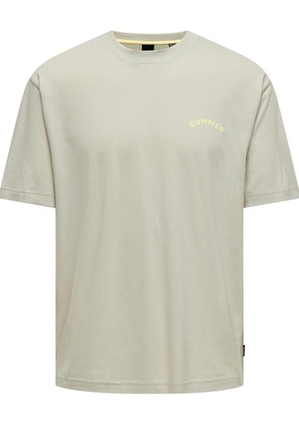 Only & Sons Onsmervyn Lıfe Rlx Summer Ss Tee 22029519 Krem modelleri