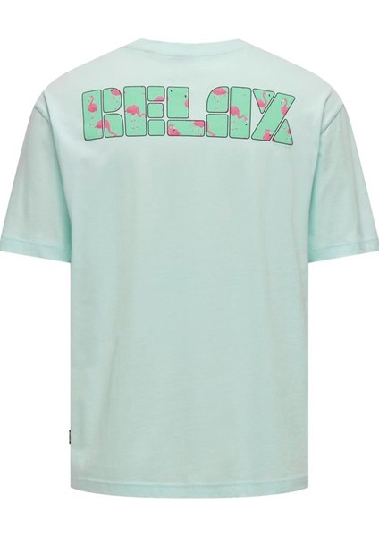Only & Sons Onsmervyn Lıfe Rlx Summer Ss Tee 22029519 Mavi fırsatları