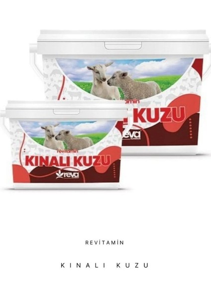 Kınalı Kuzu Koyun Keçi Kuzu Ve Buzağı Hayvan Yem Katkı Kova