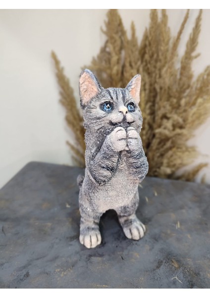 Kedi Polyester Biblo Model 1
