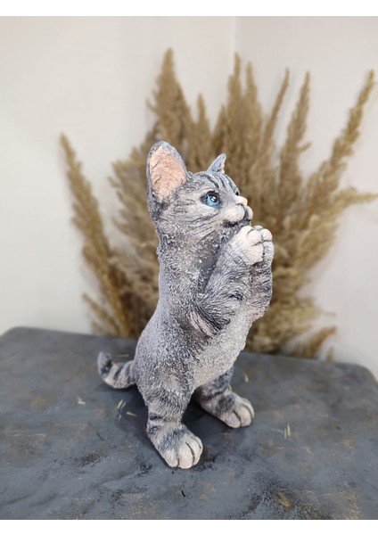 Kedi Polyester Biblo Model 1