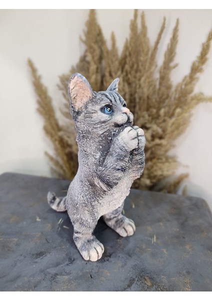 Kedi Polyester Biblo Model 1