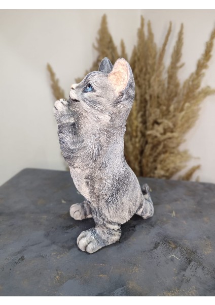 Kedi Polyester Biblo Model 1