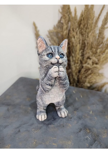 Kedi Polyester Biblo Model 1