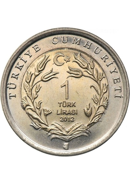 3ALP Koleksiyon, Anadolu Parsı 1 Lira 2012, Darphane Hatıra Bimetal Para, Hayvanlar Serisi, Çil