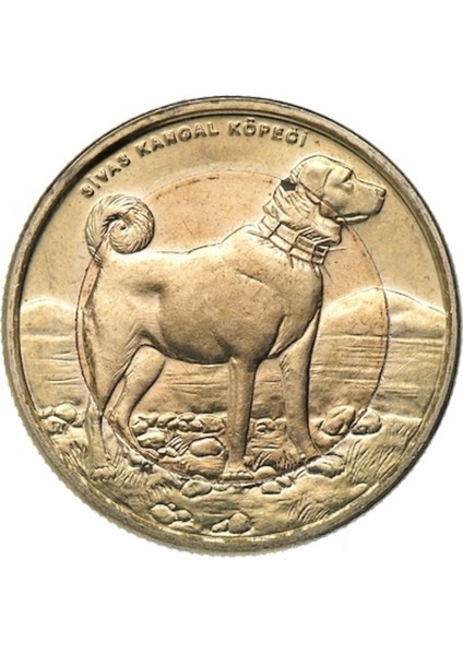 3ALP Koleksiyon, Sivas Kangal 1 Lira 2010, Darphane Hatıra Bimetal Para, Hayvanlar Serisi, Çil