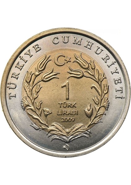 3ALP Koleksiyon, Fil 1 Lira 2009, Darphane Hatıra Bimetal Para, Hayvanlar Serisi, Çil