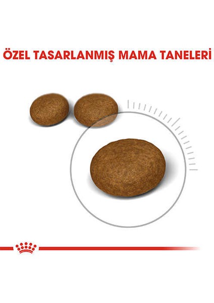 Hair & Skin Deri ve Tüy Sağlığı Için Kedi Maması 2 kg