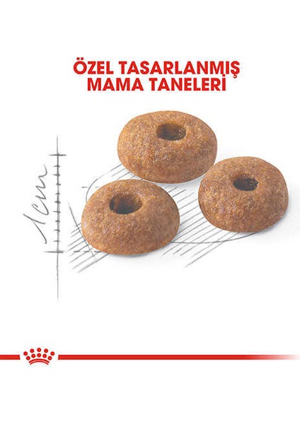 Fit 32 Yetişkin Kedi Maması 2 kg